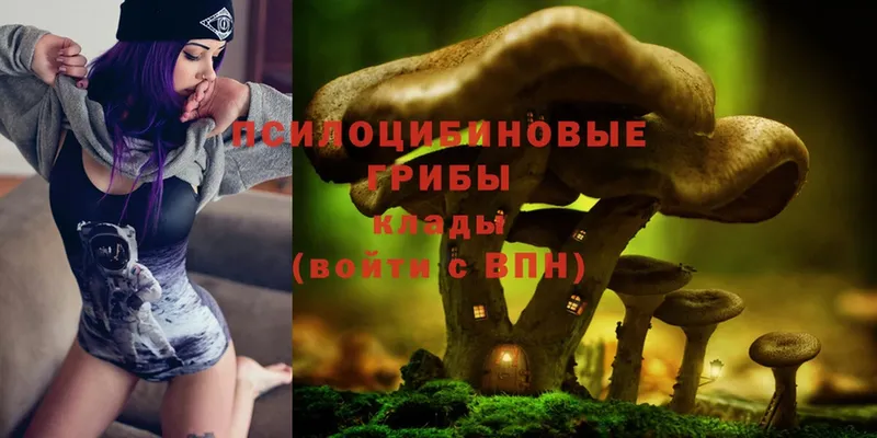 Галлюциногенные грибы MAGIC MUSHROOMS  Аткарск 